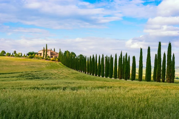 Piękny krajobraz Toskanii — Zdjęcie stockowe