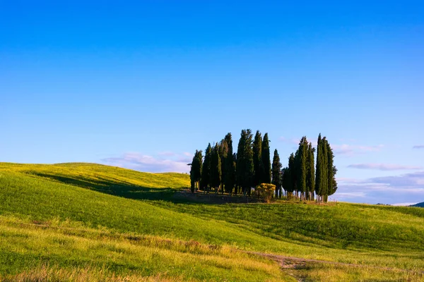 güzel Toskana peyzaj