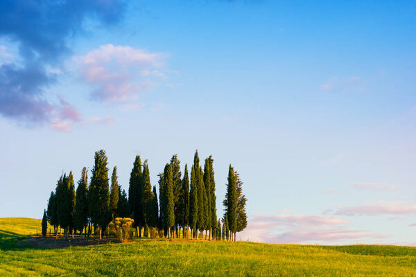 Beautiful Tuscany landscape