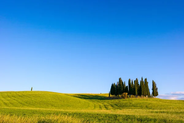 Vackra Toscana landskap — Stockfoto