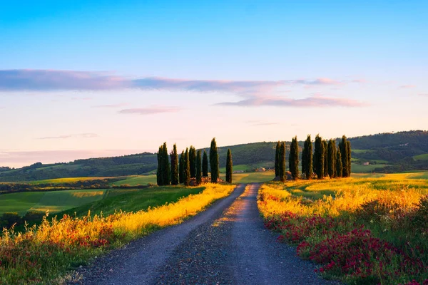 güzel Toskana peyzaj