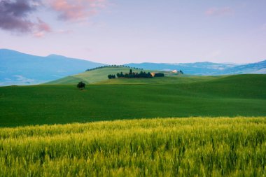 güzel yaz peyzaj Toskana