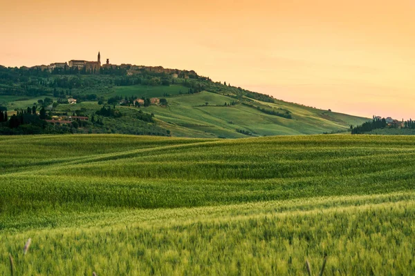 Vacker sommar landskap i Toscana — Stockfoto