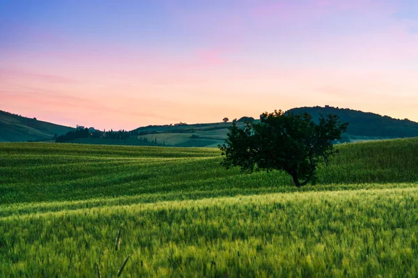 Vacker sommar landskap i Toscana — Stockfoto