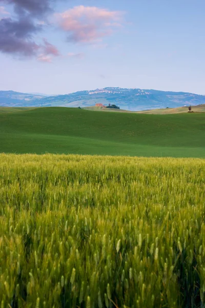 Mooie zomerse landschap in Toscane — Stockfoto