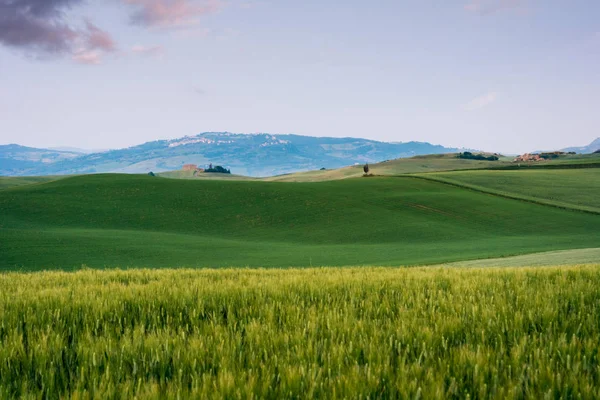 Beau paysage d'été en Toscane — Photo