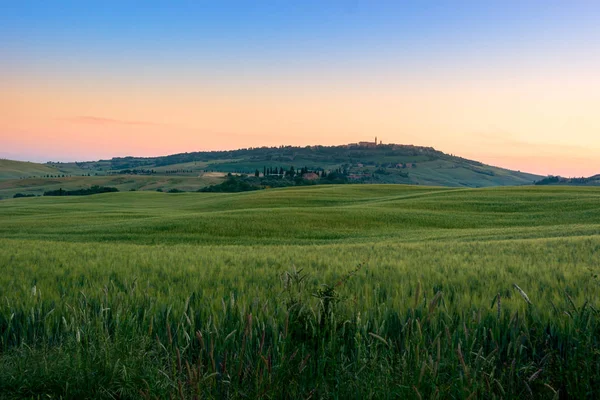 Kaunis kesämaisema Toscanassa — kuvapankkivalokuva