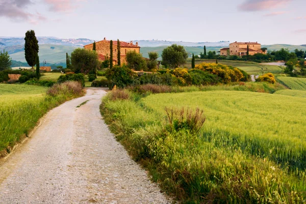 Ferme toscane typique en Italie — Photo