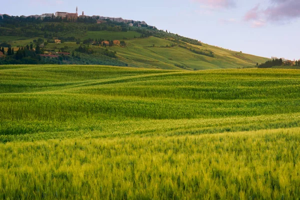 Kaunis kesämaisema Toscanassa — kuvapankkivalokuva