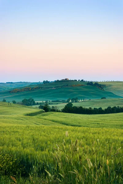 Vacker sommar landskap i Toscana — Stockfoto