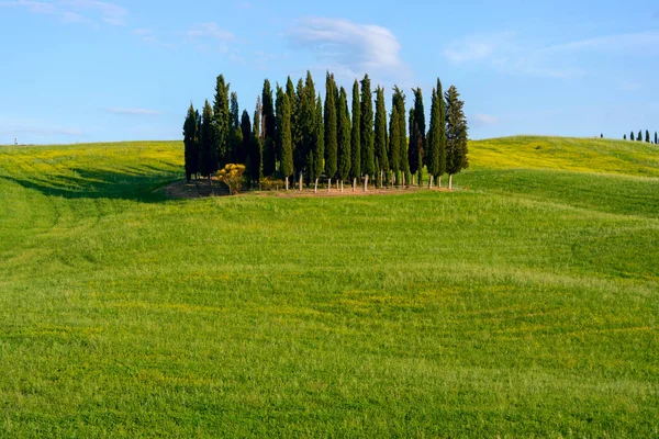 Beautiful Tuscany landscape — Stock Photo, Image