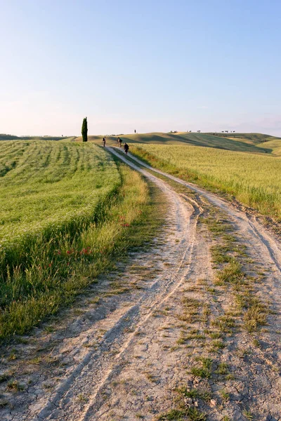 güzel Toskana peyzaj