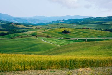 güzel Toskana peyzaj