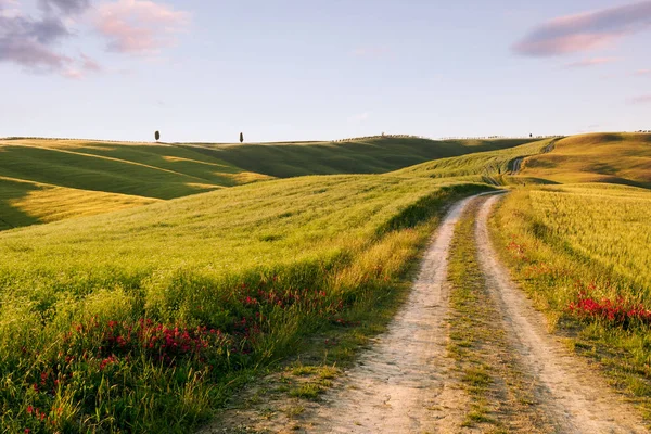 güzel Toskana peyzaj