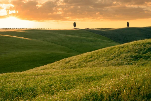 Vackra Toscana landskap — Stockfoto