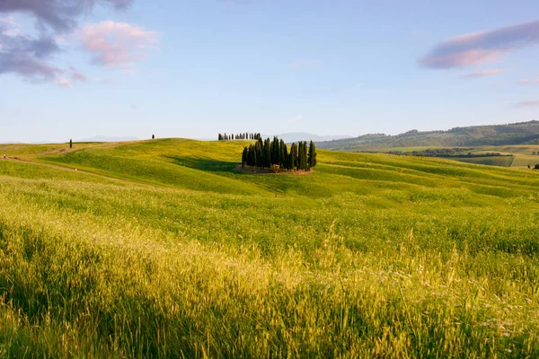 güzel Toskana peyzaj