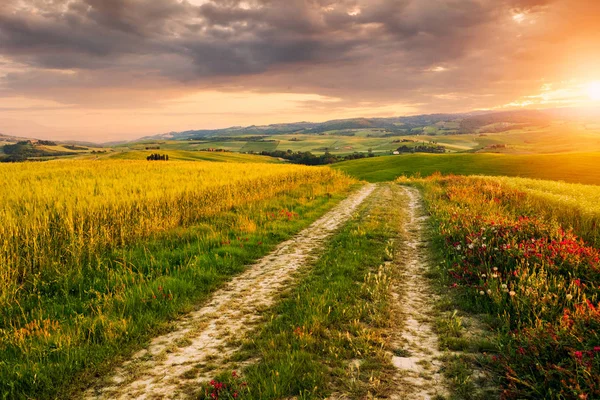 güzel Toskana peyzaj