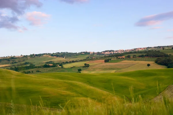 Mooie zomerse landschap in Toscane — Stockfoto