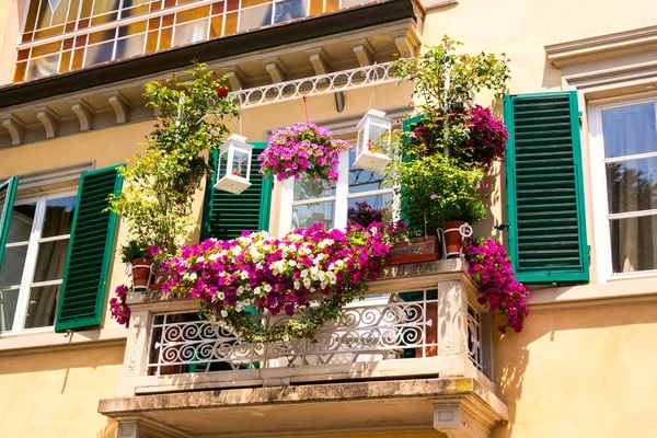Balcón con flores en Pisa — Foto de Stock