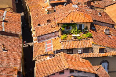 Lucca'daki tipik pişmiş toprak çatılar