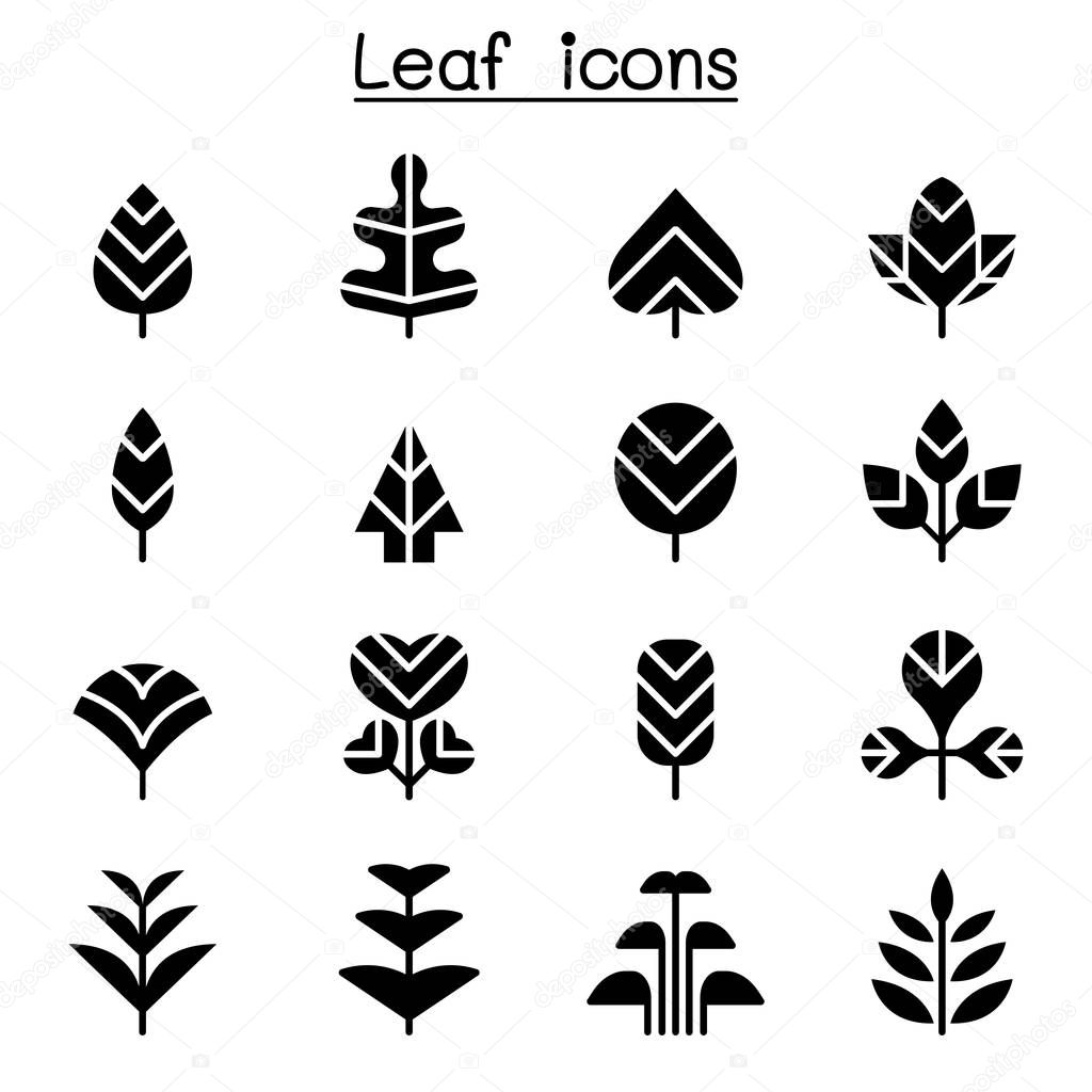 Leaf & Tree icon set vector illustration graphic design
