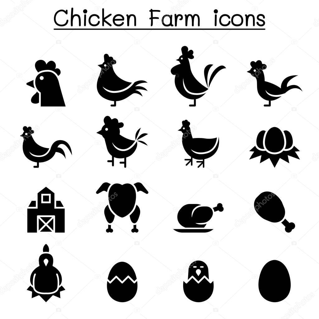 Chicken icon set  vector illustration graphic design