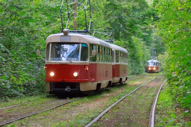 Tramvaylar ile orman tünelde ışığı. Kiev, Ukrayna