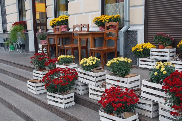 Прекрасні квіти в дерев'яних коробках біля кафе. Місто — стокове фото