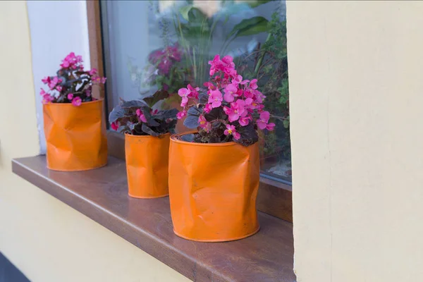 Flores en la olla de hierro naranja en la ventana. Urbano — Foto de Stock