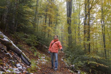 Bir orman yolu yürüyen turist. Seyahatler