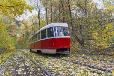 Kırmızı tramvay ile sonbahar parka gidiyor. Kiev, Ukrayna
