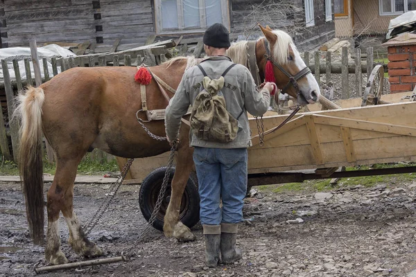 Synevyrska Polyana, Ukrajina - 21. dubna 2016: Farmář dát koně nedaleko domu — Stock fotografie