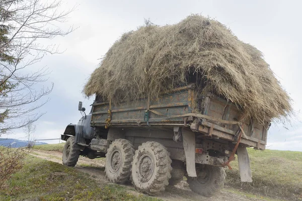 Стара вантажівка, завантажена сіном, їздить у високогір'ї — стокове фото