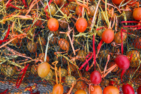 Background of orange wooden Easter eggs — Stock Photo, Image