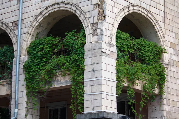 Hiedra verde crece más gruesa en la pared del edificio con balcones — Foto de Stock