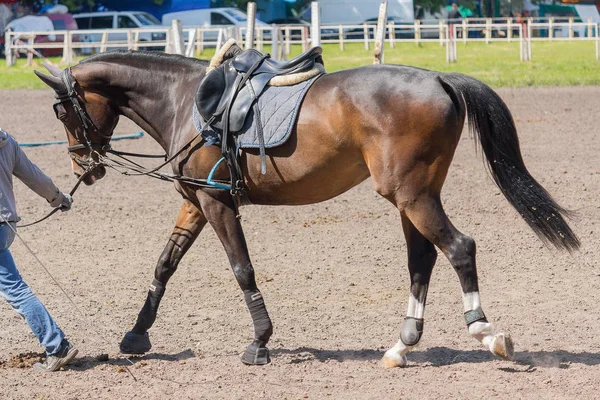 L'homme conduit un cheval de course sur le circuit — Photo