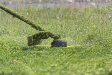 Çim closeup biçme sırasında el ile çim biçme