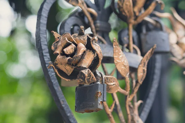 Forged roses from metal and the castle left in love with a close — Stock Photo, Image