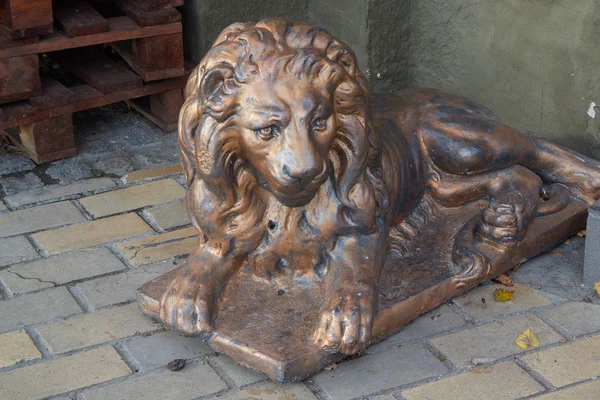 Staty av ett lejon på en stadsgata. Kiev, Ukraina — Stockfoto