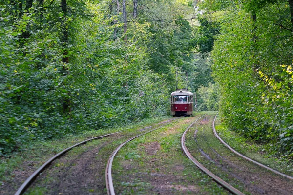 电车穿过森林。乌克兰基辅 — 图库照片
