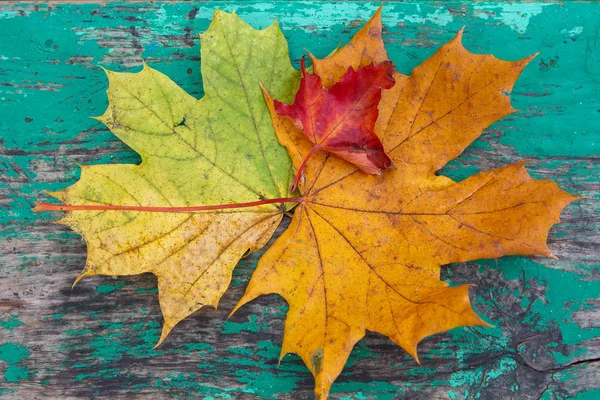 ダイヤルの下に様式化された木製の表面色とりどりの葉。秋の背景 — ストック写真