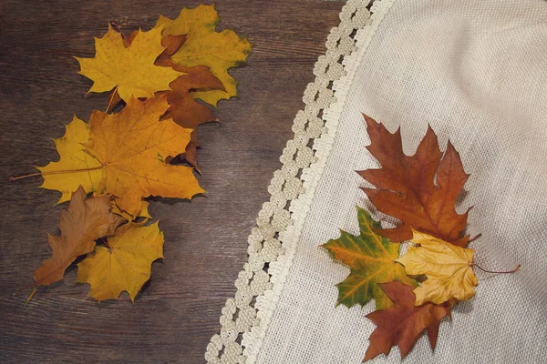 桌子上的彩色树叶。秋天背景 — 图库照片