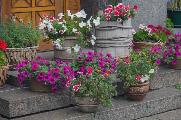 Potten met bloemen op de deur van een café — Stockfoto