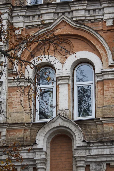 Beautiful windows of classic style and tree — Stock Photo, Image