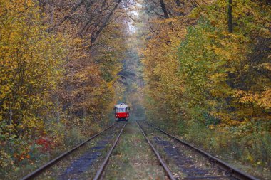 Kırmızı tramvay yolculuğu bir sonbahar ormanı. Taşıma