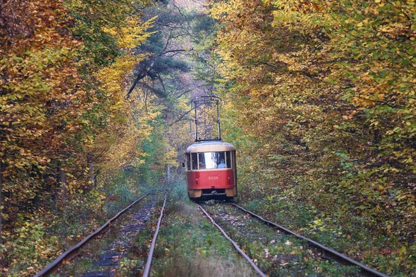 红色的电车旅行在隧道里的秋天的树木。基辅，乌克兰 — 图库照片