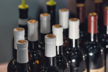 Şarap şişeleri şarap deposunda. Alkol