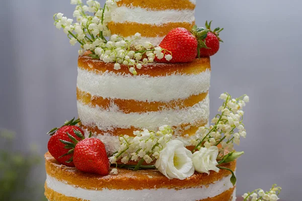 Güzel bisküvi pasta çilekli closeup ile. Gıda