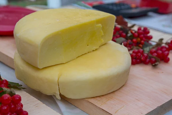 Вкусный свежий сыр на прилавке магазина. Еда — стоковое фото