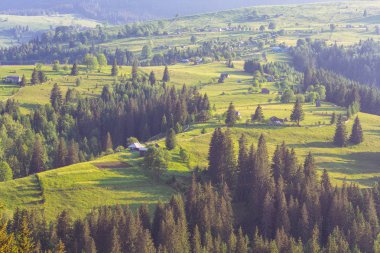 Düz dağ güneş ışığı ile sular altında olduğunu. Karpatlar